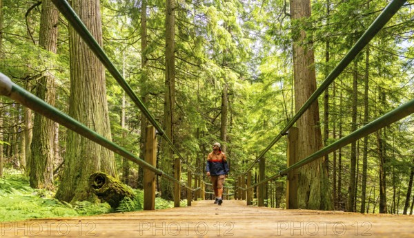 Tourist enjoying a sunny day walking on the hemlock grove boardwalk surrounded by lush green forest in wells gray provincial park, british columbia, canada