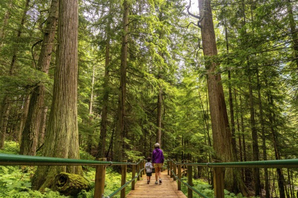Mother and child are enjoying a leisurely stroll along the hemlock grove boardwalk, surrounded by lush greenery and towering trees in the canadian rockies