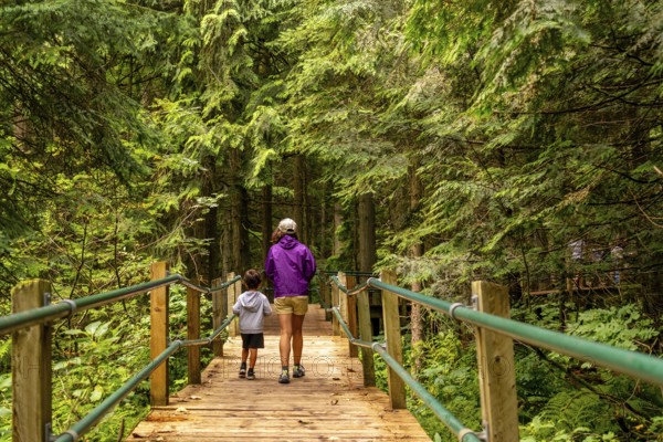 Mother and son walking along the hemlock grove boardwalk, soaking in the vibrant greenery of the canadian rockies on a stunning summer day, surrounded by nature's beauty