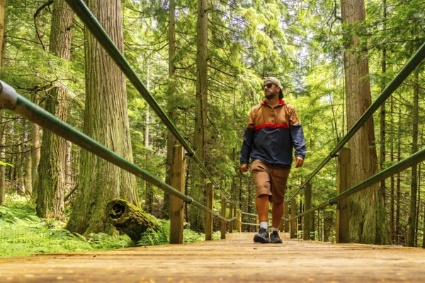 Male tourist in casual clothing and sunglasses walking along the hemlock grove boardwalk, surrounded by lush forest in mount revelstoke national park on a sunny summer day