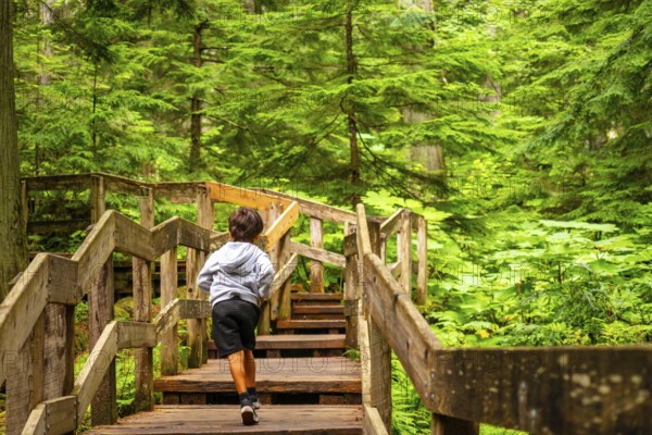 Young child running up wooden steps on the giant cedars boardwalk trail, surrounded by lush green forest in mount revelstoke national park, british columbia, canada, enjoying a summer day outdoors