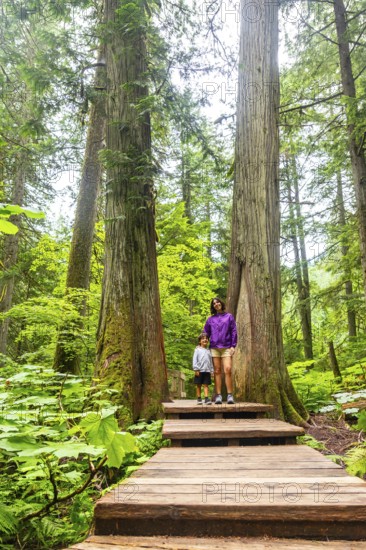Mother and son enjoying a hike through a lush forest, standing on a wooden boardwalk amidst towering trees, surrounded by vibrant greenery and fresh air of the canadian wilderness