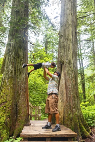 Father playfully lifting son in the air among towering ancient cedars on the giant cedars boardwalk trail in mount revelstoke national park, british columbia