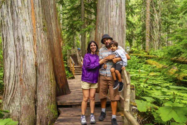 Tourists enjoying hiking in the amazing giant cedars boardwalk trail, surrounded by lush vegetation and giant trees in mount revelstoke national park