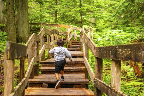 Young boy running up wooden stairs surrounded by lush green forest on giant cedars boardwalk trail in mount revelstoke national park. British columbia. Canada. Enjoying a summer day exploring nature