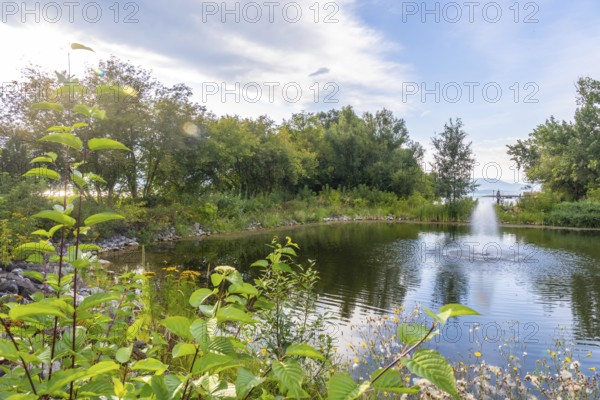 Lush greenery surrounds a tranquil pond with a water fountain, creating a serene oasis in salmon arm, british columbia, under a partly cloudy sky
