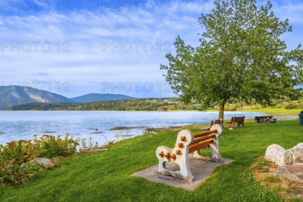Scenic view of shuswap lake with a bench in the foreground, surrounded by lush green grass, trees, and mountains in the background, located in salmon arm, british columbia, canada
