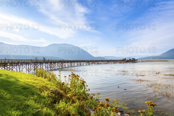 Long wooden pier stretching into the calm waters of shuswap lake, surrounded by mountains and lush greenery in salmon arm, british columbia, on a sunny summer day