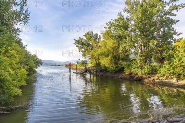 Tranquil morning view of a wooden pier extending into calm shuswap lake, surrounded by lush green trees and reflecting on the serene water in salmon arm, british columbia