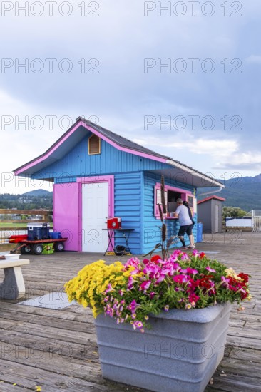 Tourists buying refreshments at a vibrant kiosk on a wooden pier in salmon arm, british columbia, with colorful flowers adding a touch of beauty to the scene