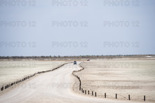 Road on the Etosha pan, salt pan, Etosha National Park, Namibia