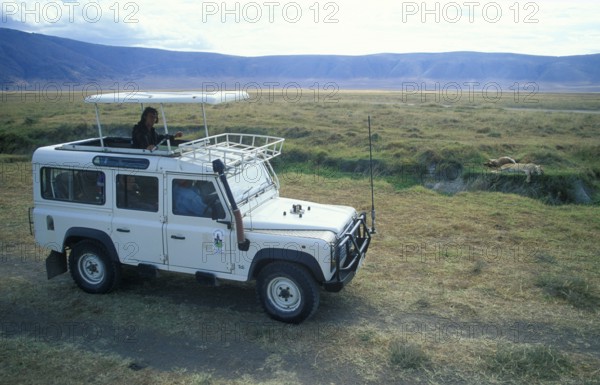 Safari, tourists watch a lioness resting next to her prey from a safari vehicle in the Ngorongoro Crater, Tanzania, Africa, June 2000, vintage, retro, old, historic