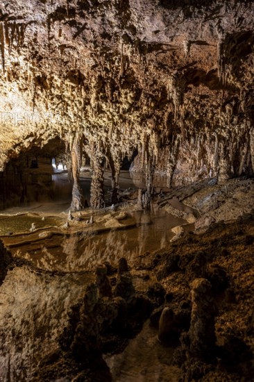 Stalactites and stalagmites, rock formations in a stalactite cave, Grotta del Fico, Gulf of Orosei, Baunei, Sardinia, Italy