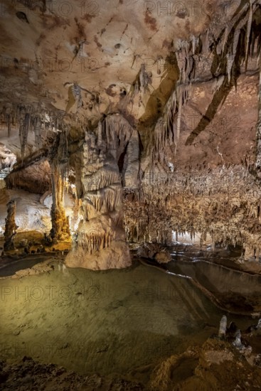 Stalactites and stalagmites, rock formations in a stalactite cave with water basin, Grotta del Fico, Gulf of Orosei, Baunei, Sardinia, Italy