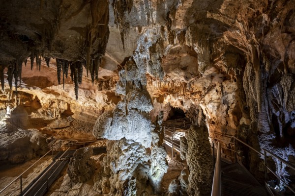 Stalactites and stalagmites, rock formations in a stalactite cave, Grotta del Fico, Gulf of Orosei, Baunei, Sardinia, Italy