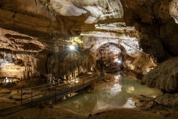Stalactites and stalagmites, small underground lake with reflection, rock formations in a stalactite cave, Grotta del Fico, Gulf of Orosei, Baunei, Sardinia, Italy