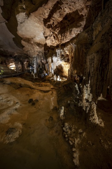 Stalactites and stalagmites, reflection in a small underground lake, rock formations in a stalactite cave, Grotta del Fico, Gulf of Orosei, Baunei, Sardinia, Italy
