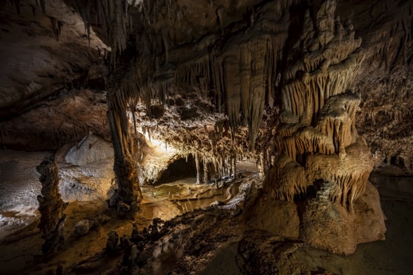 Stalactites and stalagmites, rock formations in a stalactite cave, Grotta del Fico, Gulf of Orosei, Baunei, Sardinia, Italy