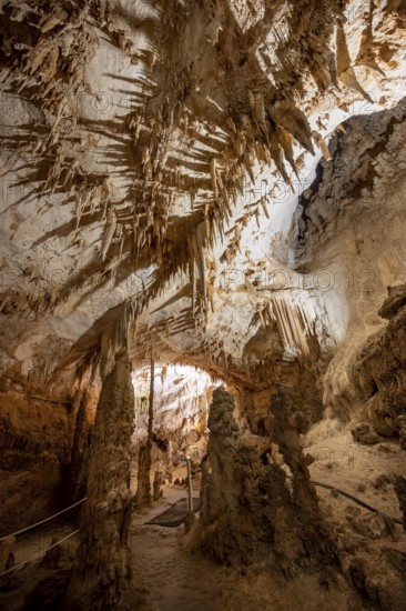 Stalactites and stalagmites, rock formations in a stalactite cave, Grotta del Fico, Gulf of Orosei, Baunei, Sardinia, Italy