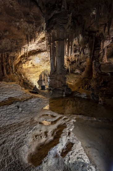 Stalactites and stalagmites, water basins and rock formations in a stalactite cave, Grotta del Fico, Gulf of Orosei, Baunei, Sardinia, Italy