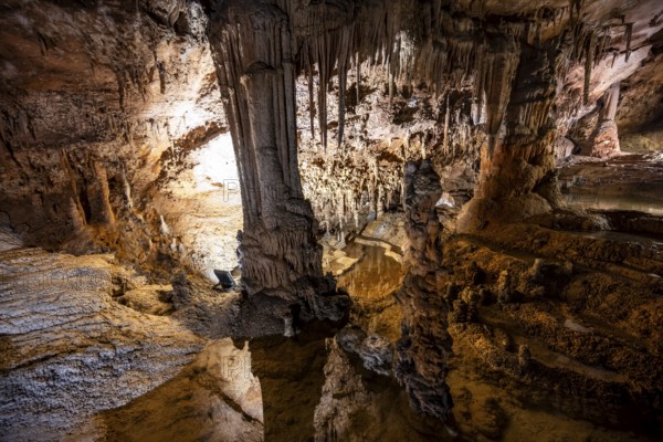 Stalactites and stalagmites, water basins and rock formations in a stalactite cave, Grotta del Fico, Gulf of Orosei, Baunei, Sardinia, Italy