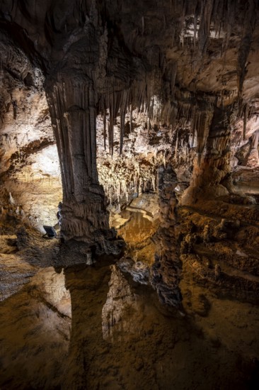 Stalactites and stalagmites reflected in water basins, rock formations in a stalactite cave, Grotta del Fico, Gulf of Orosei, Baunei, Sardinia, Italy
