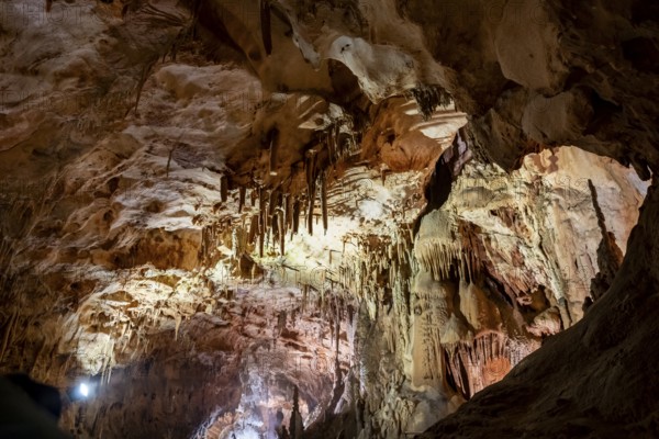 Stalactites and stalagmites, rock formations in a stalactite cave, Grotta del Fico, Gulf of Orosei, Baunei, Sardinia, Italy