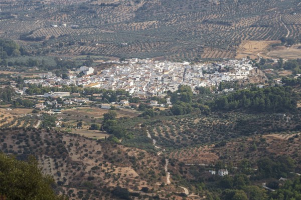 View over village El Burgo, fields with olive trees, mountain range Sierra de las Nieves, Parque Nacional Sierra De Las Nieves, Andalusia, Spain