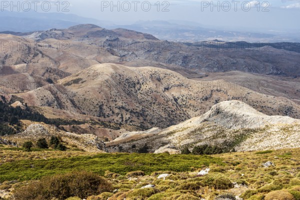 Mountain range Sierra de las Nieves, Parque Nacional Sierra De Las Nieves, Andalusia, Spain