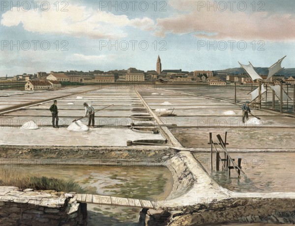 Salt mining, sea salt, salt pans at Capo d'Istria, Istria, authentic reproduction of a school mural, historic, around 1900