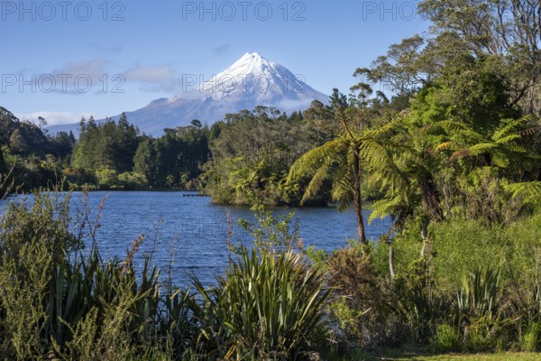 Lake Mangamahoe with views of Mount Taranaki. Egmont National Park, Taranaki Region, North Island, New Zealand