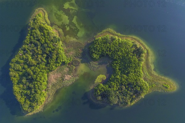Aerial view, drone photo: Steinwerder and Bollenwerder islands, Carwitzer See, Carwitz, Feldberger Seenlandschaft, Mecklenburg Lake District, Mecklenburg-Western Pomerania, Germany