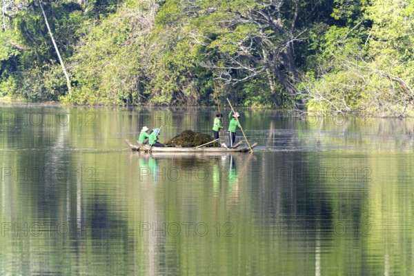 Women harvest seagrass, water channel in Angkor Thom, UNESCO World Heritage Site, Siem Reap, Cambodia