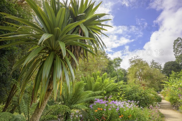 National Botanic Gardens, Kilmacurragh, Dunganstown, Co. Wicklow, Ireland
