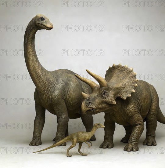 Size comparison dinosaur, a Brontosaurus, a Triceratops and a Compsognathus, fossil, extinct, prehistoric, dinosaur, lizard, prehistoric period, paleontology, reptile, AI generated