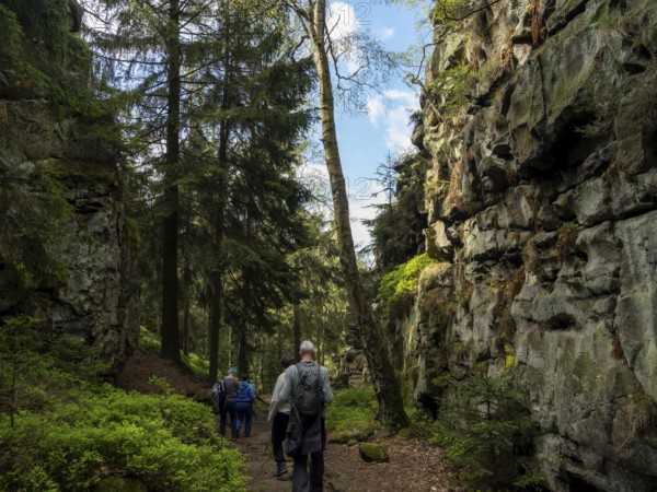 Hikers in forest with rocks, Felsengasse, Zittau Mountains, things, Germany