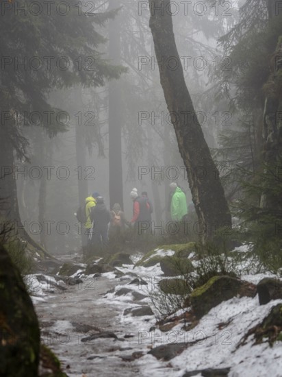 Hiking group on winter trail with fog, Zittau Mountains, Germany