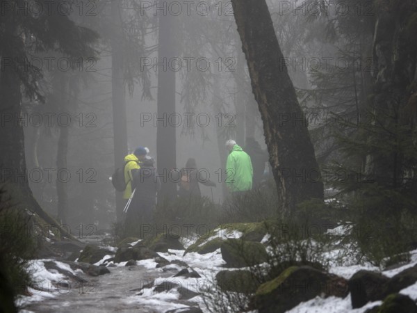 Hiking group on winter trail with fog, Zittau Mountains, Germany