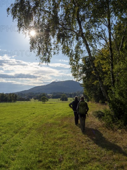 Hiker on sunny trail at Wiesenrand, Lückendorf, Zittau Mountains, Saxony, Germany