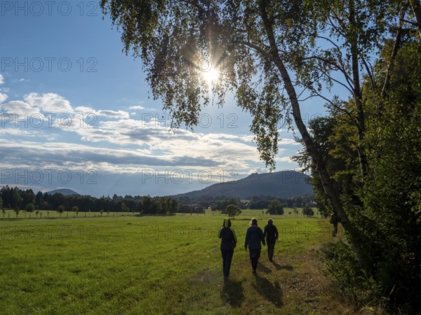 Hiker on sunny trail at Wiesenrand, Lückendorf, Zittau Mountains, Saxony, Germany