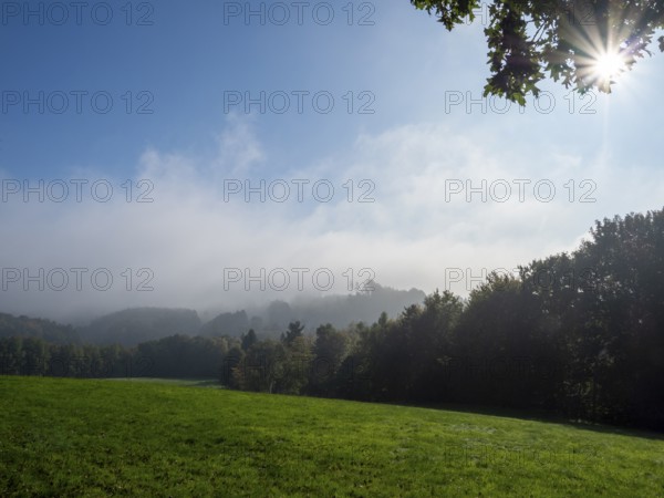 Landscape with meadows, forest and fog, Upper Lusatian mountain landscape, Zittau Mountains, Saxony, Germany