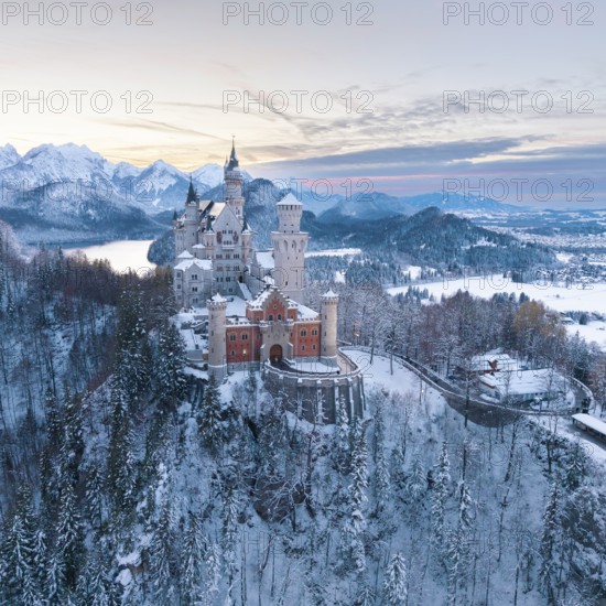 Fairytale castle Neuschwanstein in a wintry landscape with pastel-coloured sky and mountains, Schwangau near Füssen, Ostallgäu, Allgäu, Bavaria, Germany