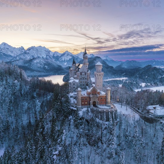 Neuschwanstein Castle in winter surroundings at sunset, Schwangau near Füssen, Ostallgäu, Allgäu, Bavaria, Germany