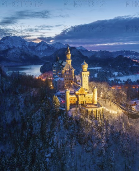 Illuminated Neuschwanstein Castle in winter in evening mood, night view, Schwangau near Füssen, Ostallgäu, Allgäu, Bavaria, Germany