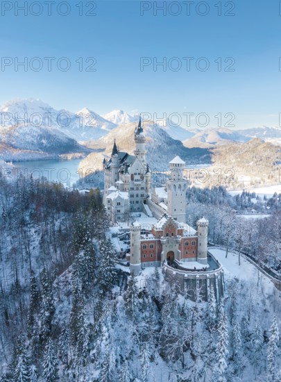 Neuschwanstein Castle in a wintry landscape with snow-covered mountains and blue sky, peaceful atmosphere, Schwangau near Füssen, Ostallgäu, Allgäu, Bavaria, Germany