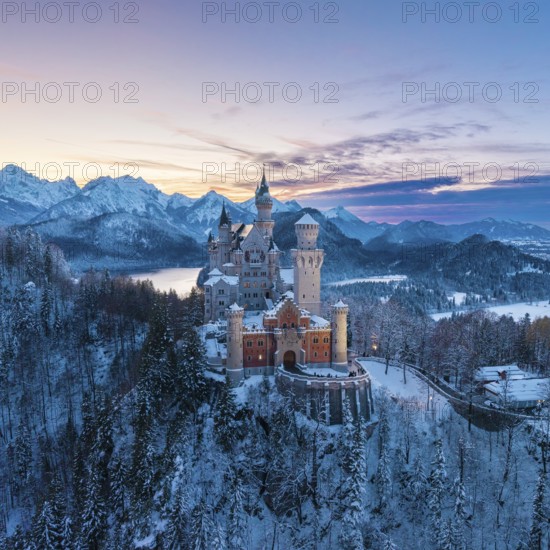 Wintery Neuschwanstein Castle at dusk surrounded by snow-covered mountains, Schwangau near Füssen, Ostallgäu, Allgäu, Bavaria, Germany