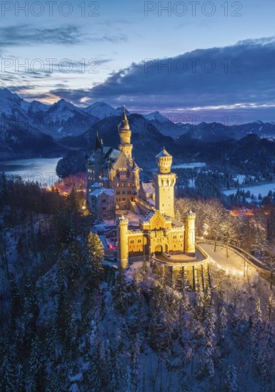 Illuminated Neuschwanstein Castle in a snowy mountain landscape at dusk, night view, Schwangau near Füssen, Ostallgäu, Allgäu, Bavaria, Germany