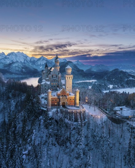 Snowy landscape around Neuschwanstein Castle in evening light, Schwangau near Füssen, Ostallgäu, Allgäu, Bavaria, Germany