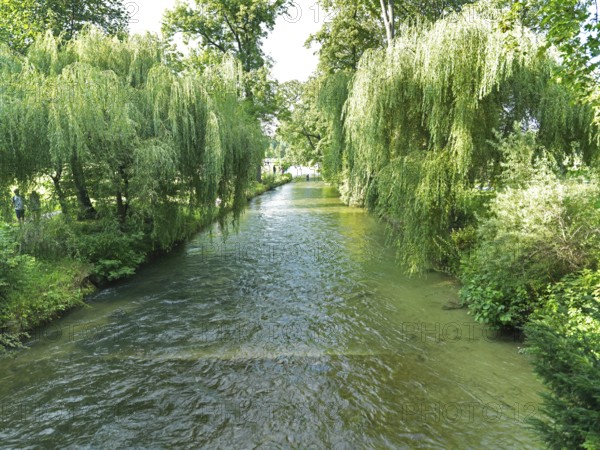 Schwabinger Bach, Englischer Garten, Munich, Bavaria, Germany
