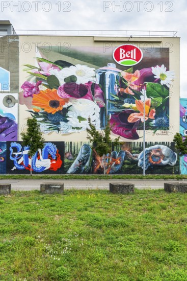 Wall painting, street art in the Bell area, Basel